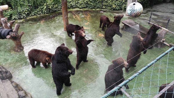 Shenzhen Safari Park 4