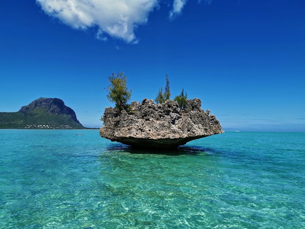 Île aux Benitiers