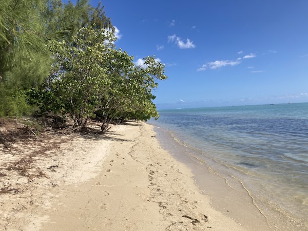 Île aux Benitiers 2