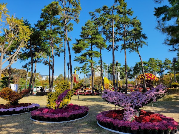 Peace Park 2