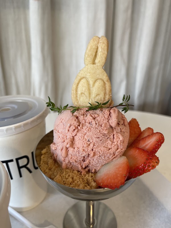 TRUST Cafe and Studio 5