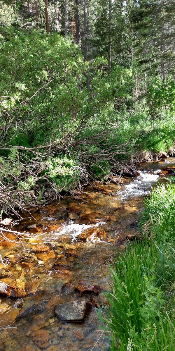 North Lake Campground 2