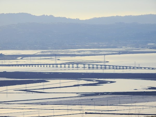 Dumbarton Bridge 2