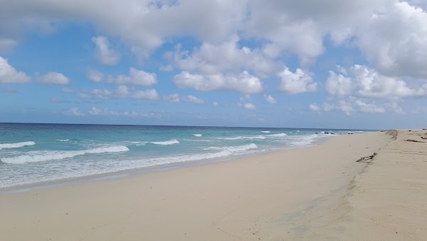 Mules Island 2