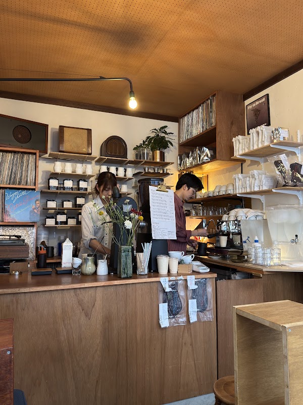 coffee swamp 5