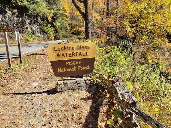 Looking Glass Falls 4