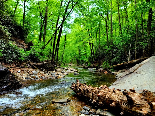 Looking Glass Falls 3