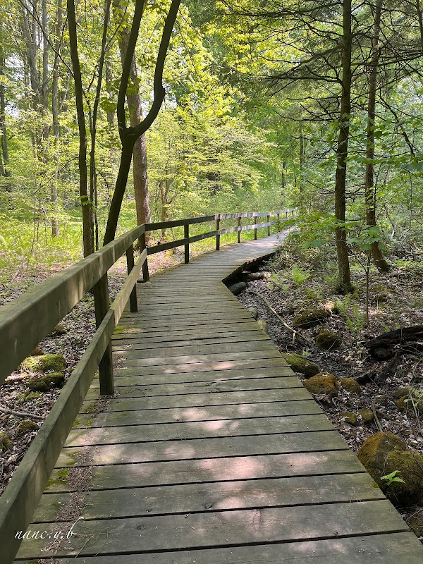 Robert Edmondson Conservation Area