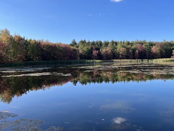 Robert Edmondson Conservation Area 5