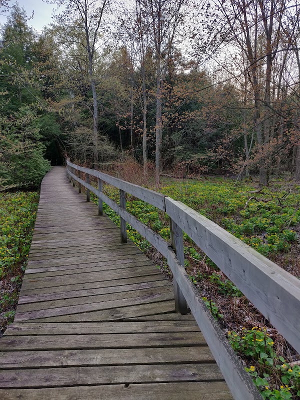 Robert Edmondson Conservation Area 4