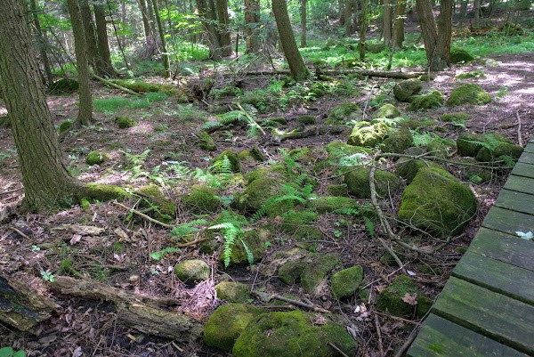 Robert Edmondson Conservation Area 3