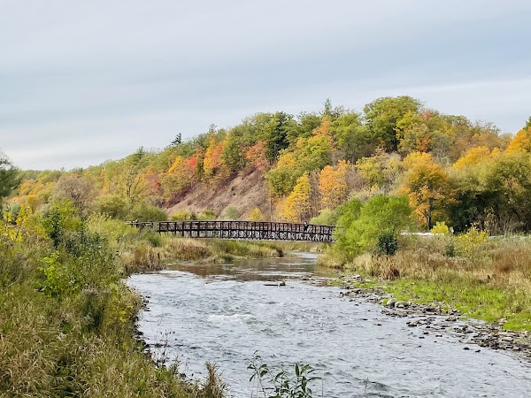 Lions Valley Park 5