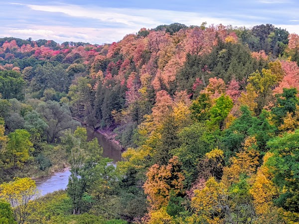 Lions Valley Park 4