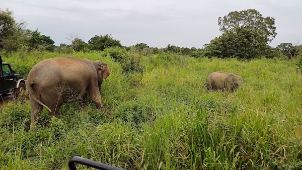 Hurulu Eco Park