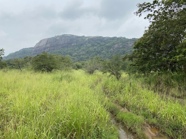Hurulu Eco Park 5
