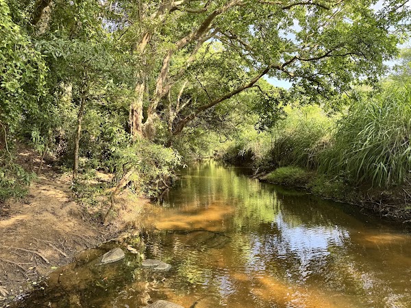 Hurulu Eco Park 2