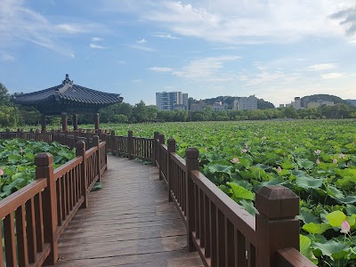 Deokjin Park 1