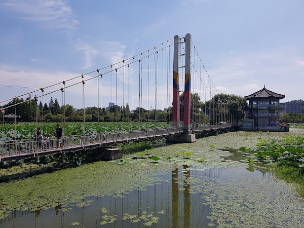 Deokjin Park 4