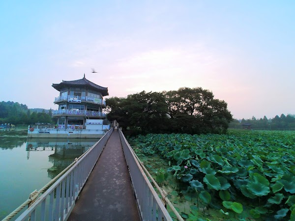 Deokjin Park 3