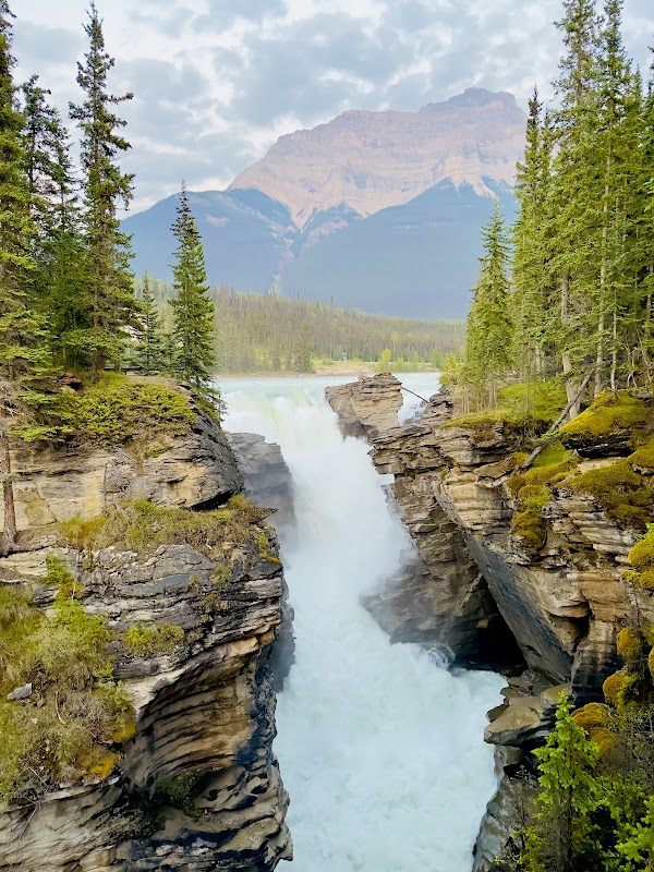 Athabasca Falls 5