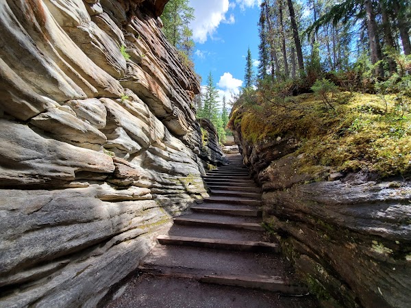 Athabasca Falls 4