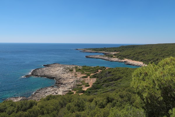 Porto Selvaggio Beach 5