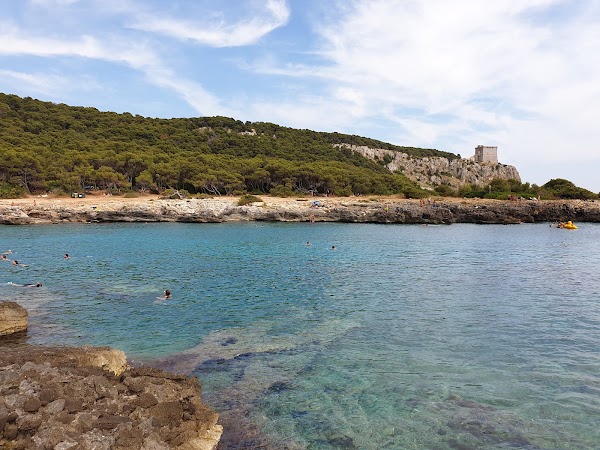 Porto Selvaggio Beach 4