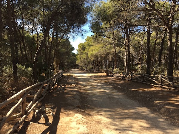Porto Selvaggio Beach 3