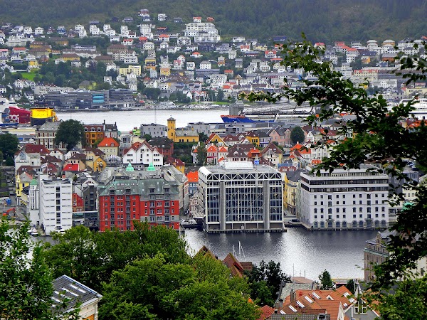 Fjellveien