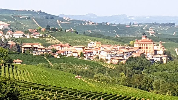 Barolo