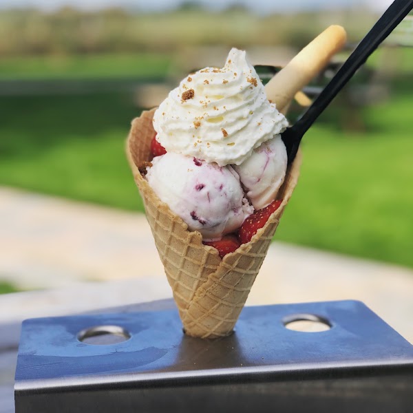 De Wieringer IJs- en Zuivelboerderij 5