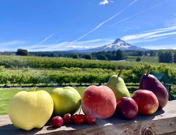 Kiyokawa Family Orchards 1
