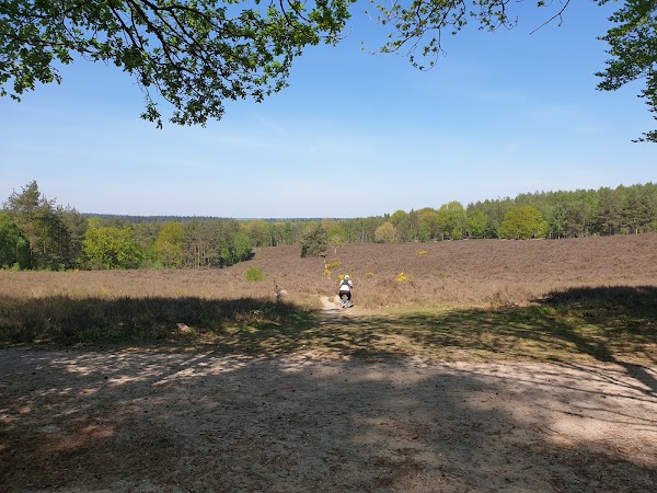 Elsterberg
