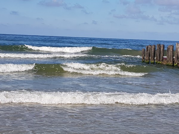 Palanga 4