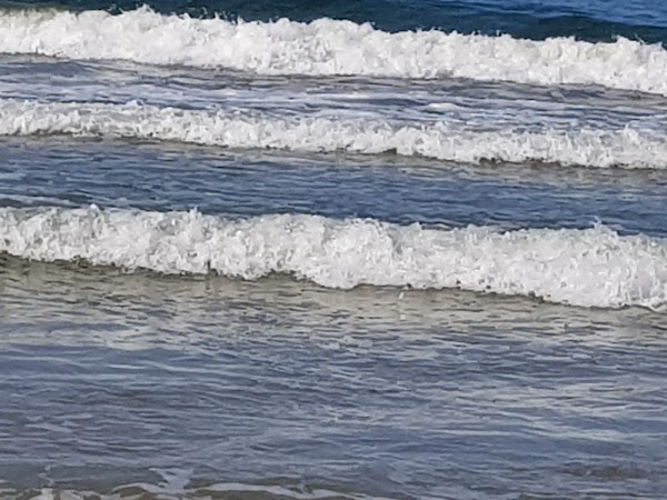 Palanga 3