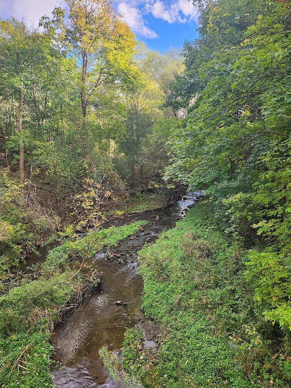 Mills Falls 3