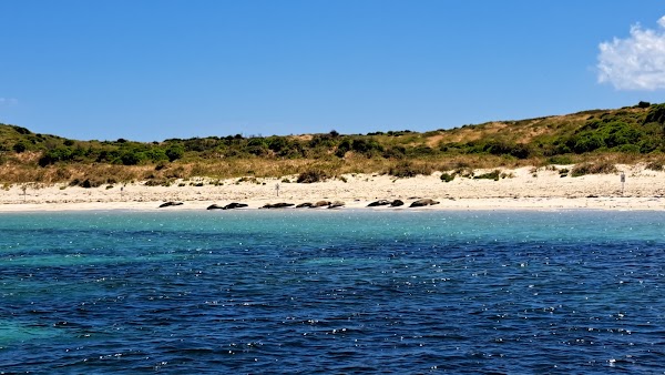 Carnac Island 1
