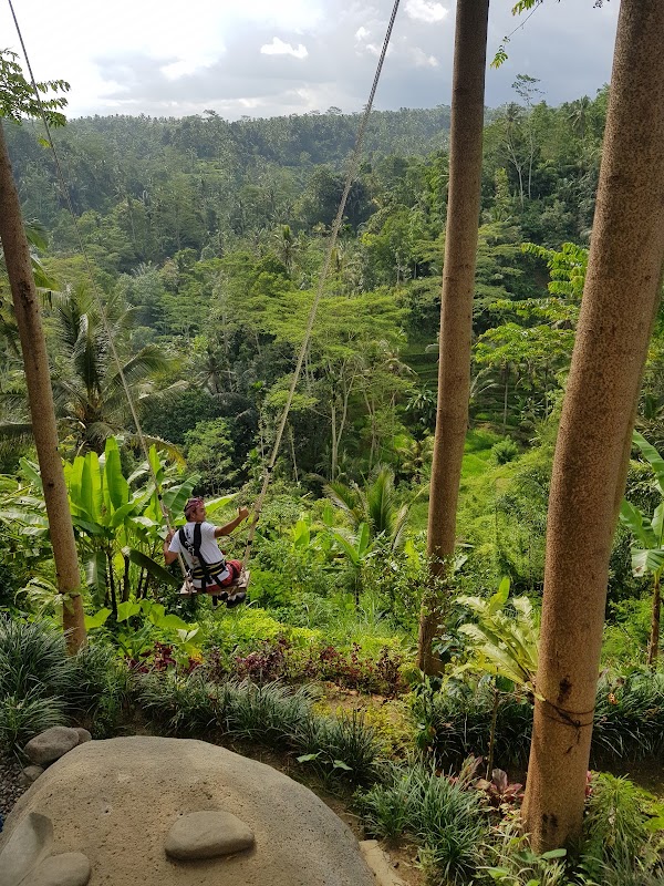 Ubud 4