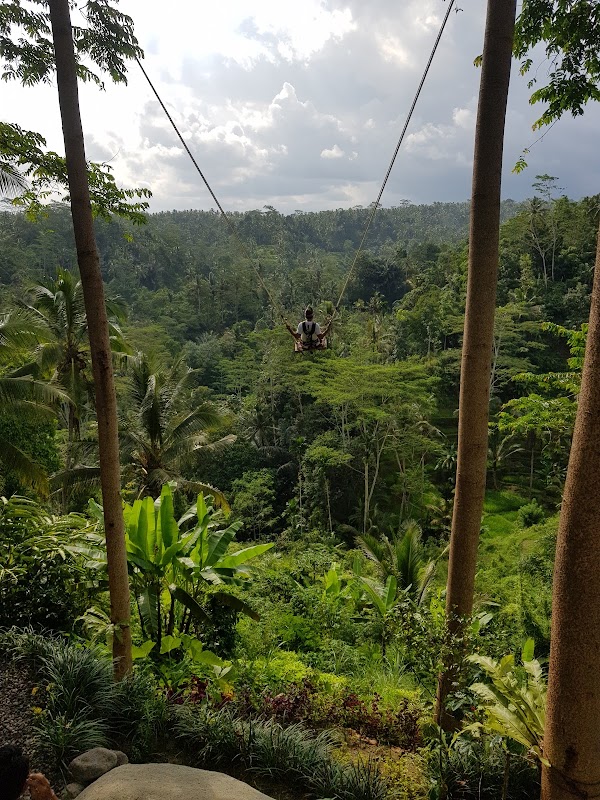 Ubud 3