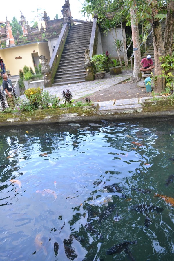 Ubud 2