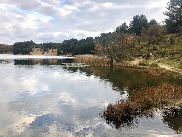 Nationaal Park Zuid-Kennemerland 4