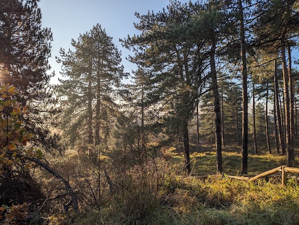 Nationaal Park Zuid-Kennemerland 2