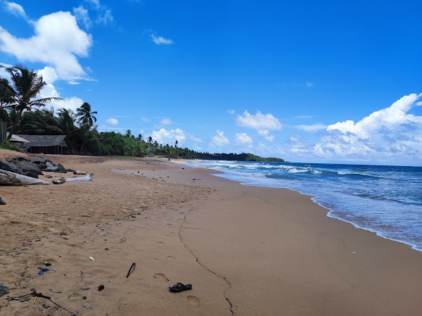Kosgoda Beach