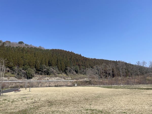 Japan 6