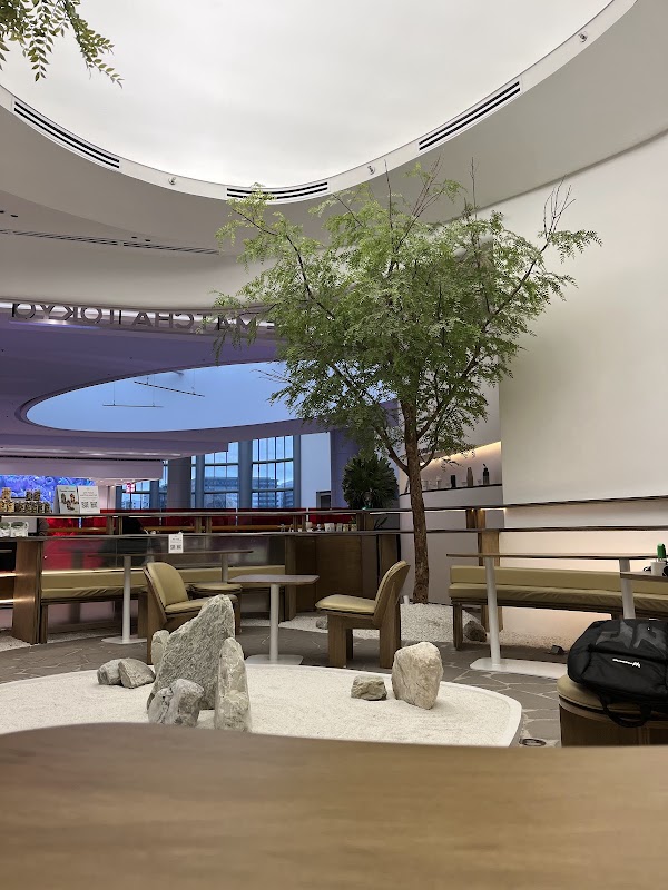 The Matcha Tokyo - MOA 1