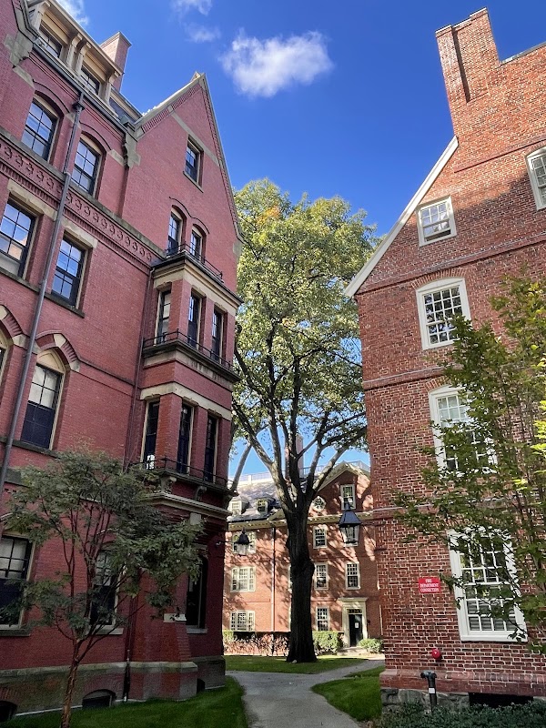 Harvard Yard 5