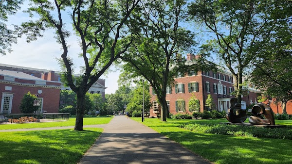 Harvard Yard 4