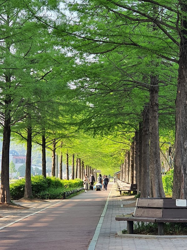 Daejeon Expo Civic Plaza 4