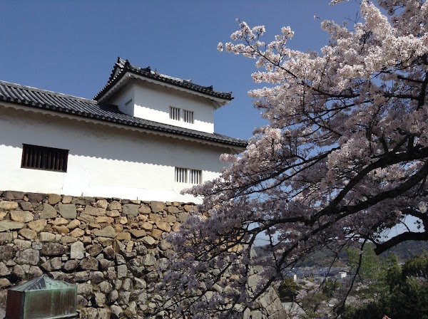 Hikone Castle 5