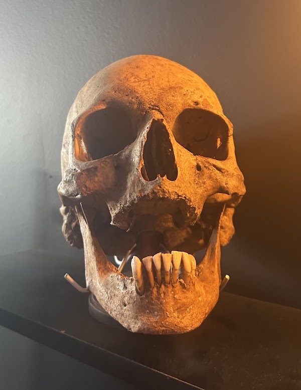The Ohio Museum of Horror 3